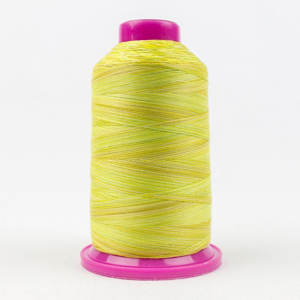 TU03 - Tutti™ 50wt Egyptian Cotton Citrus Thread WonderFil