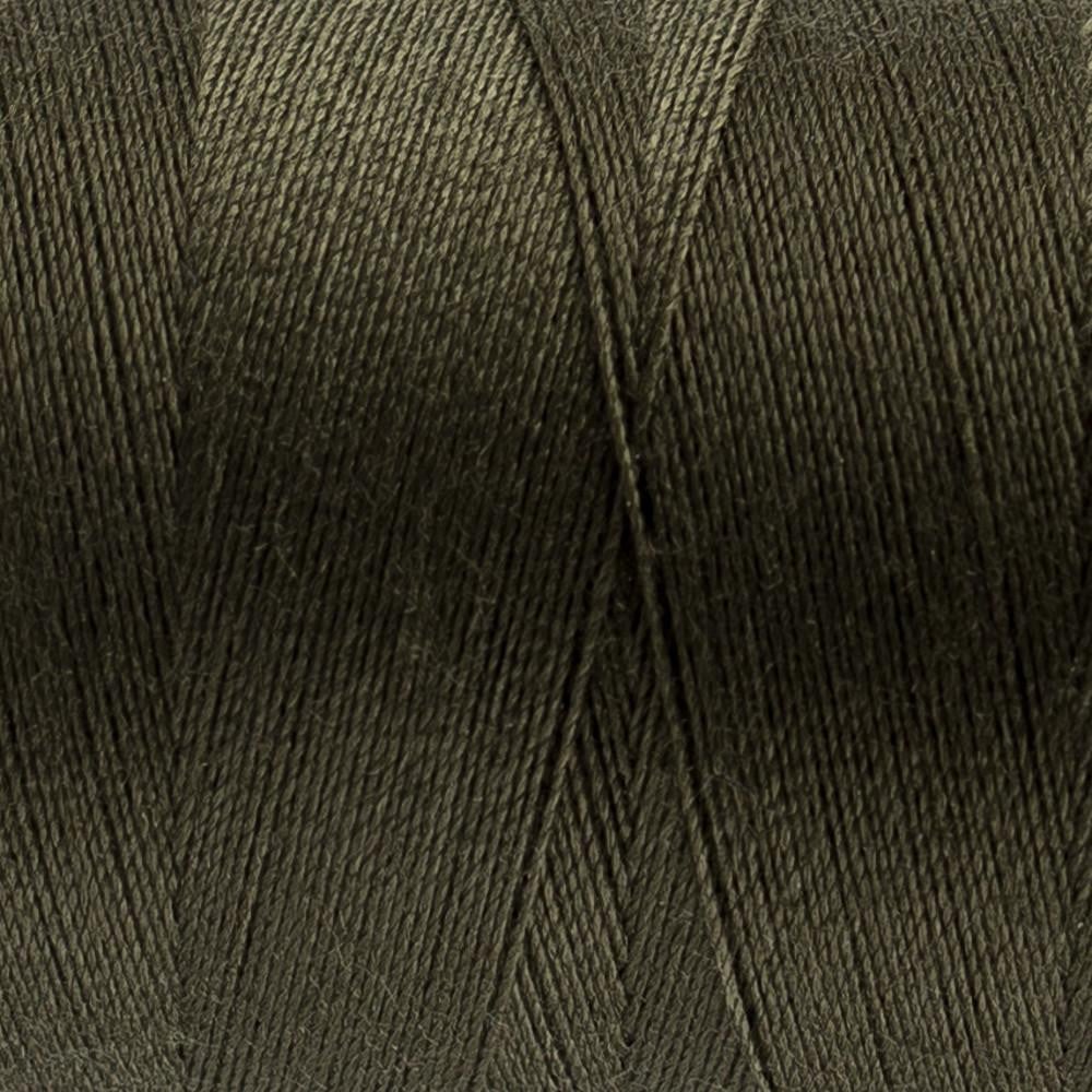 DS113 - Designer™ All purpose 40wt Polyester Turtle Green Thread WonderFil
