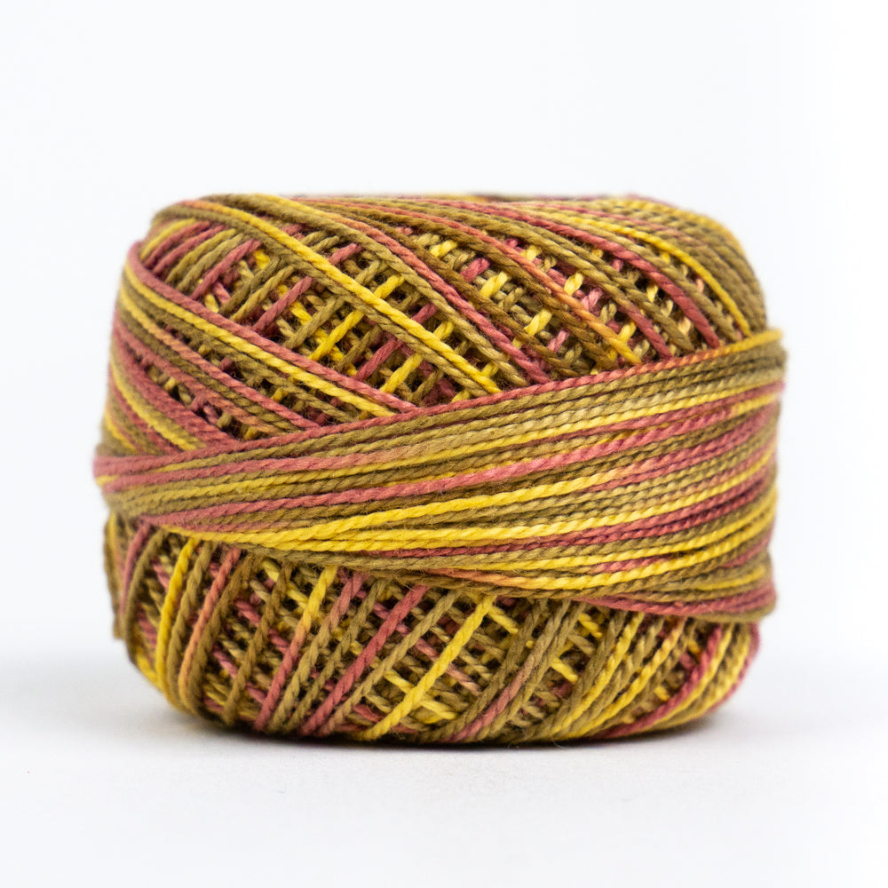 EL5GM-1016 - Eleganza™ 8wt Egyptian Cotton Autumn Spice Thread WonderFil