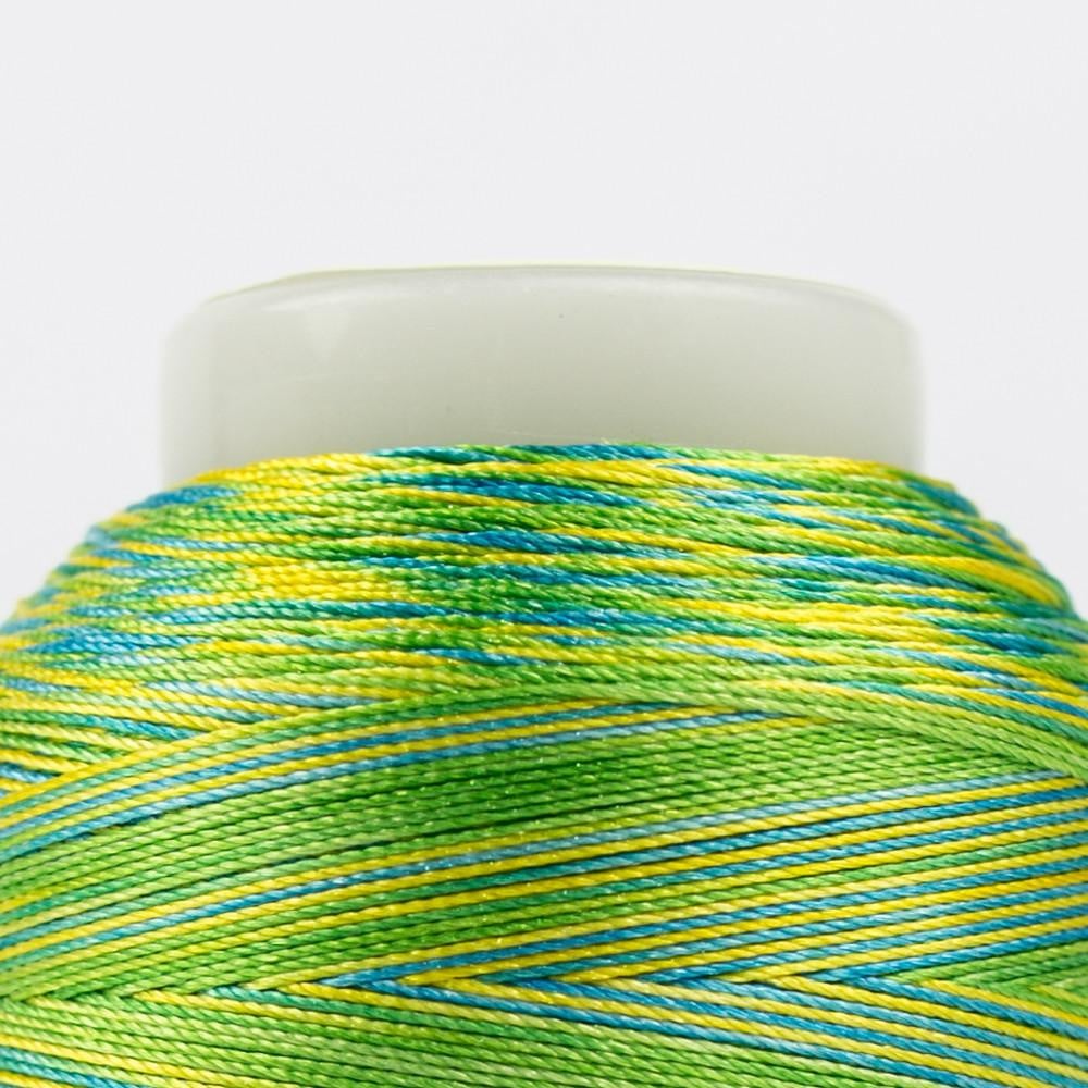 FB07 - Fabulux™ 40wt Trilobal Polyester Cabana Thread WonderFil