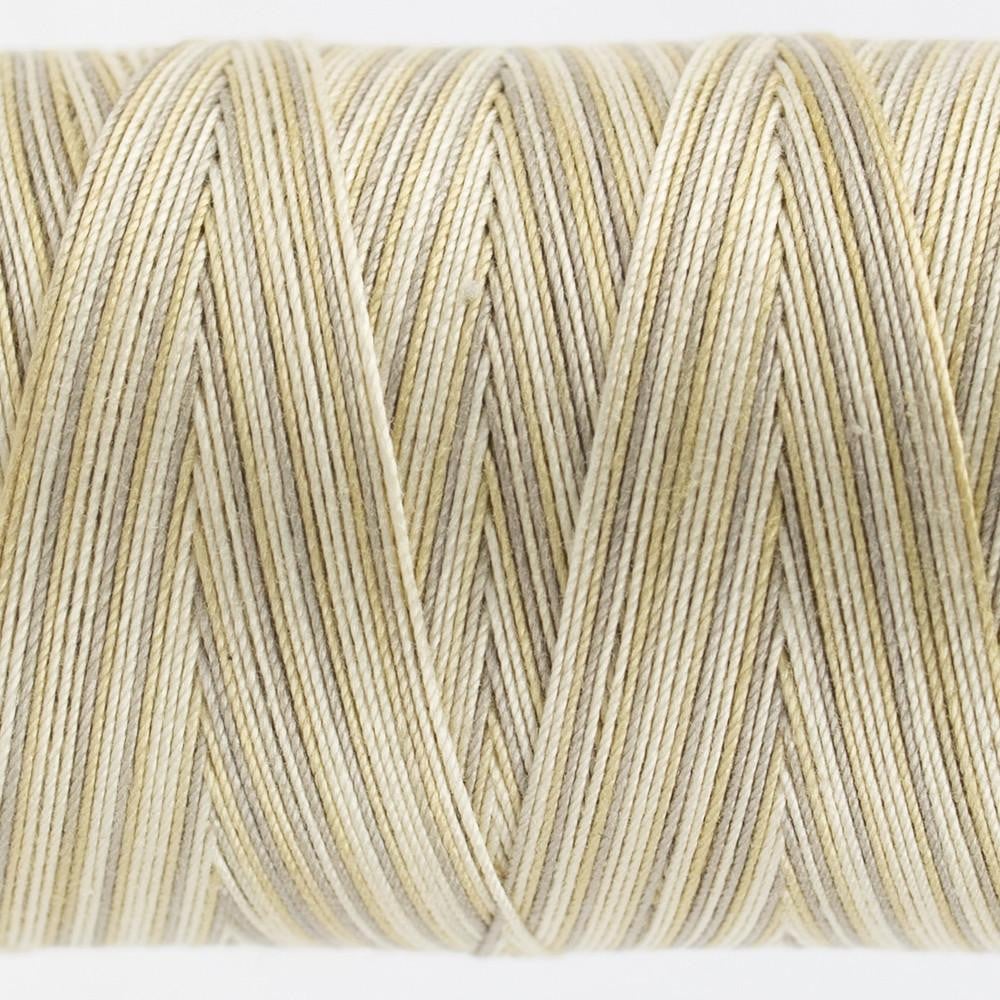 FT25 - Fruitti™ 12wt Egyptian Cotton Fall Leaves Thread WonderFil