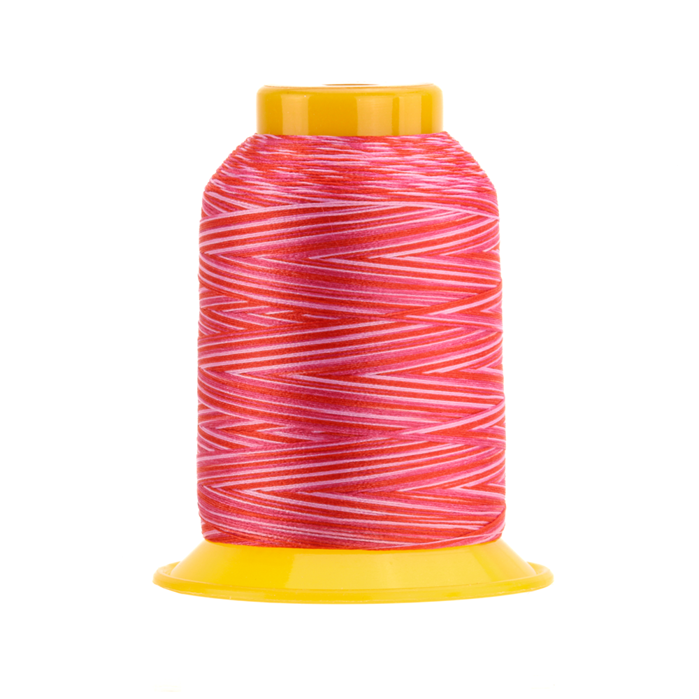 SLM29
