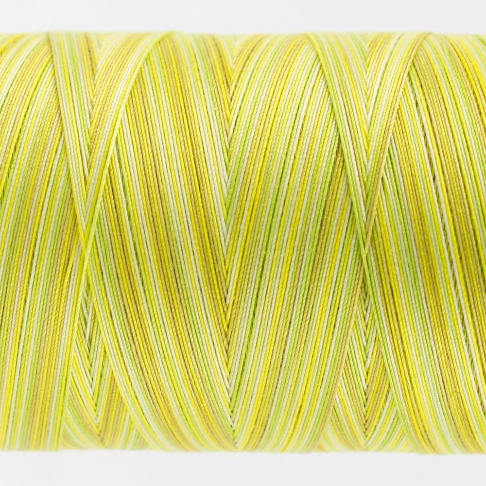 TU03 - Tutti™ 50wt Egyptian Cotton Citrus Thread WonderFil