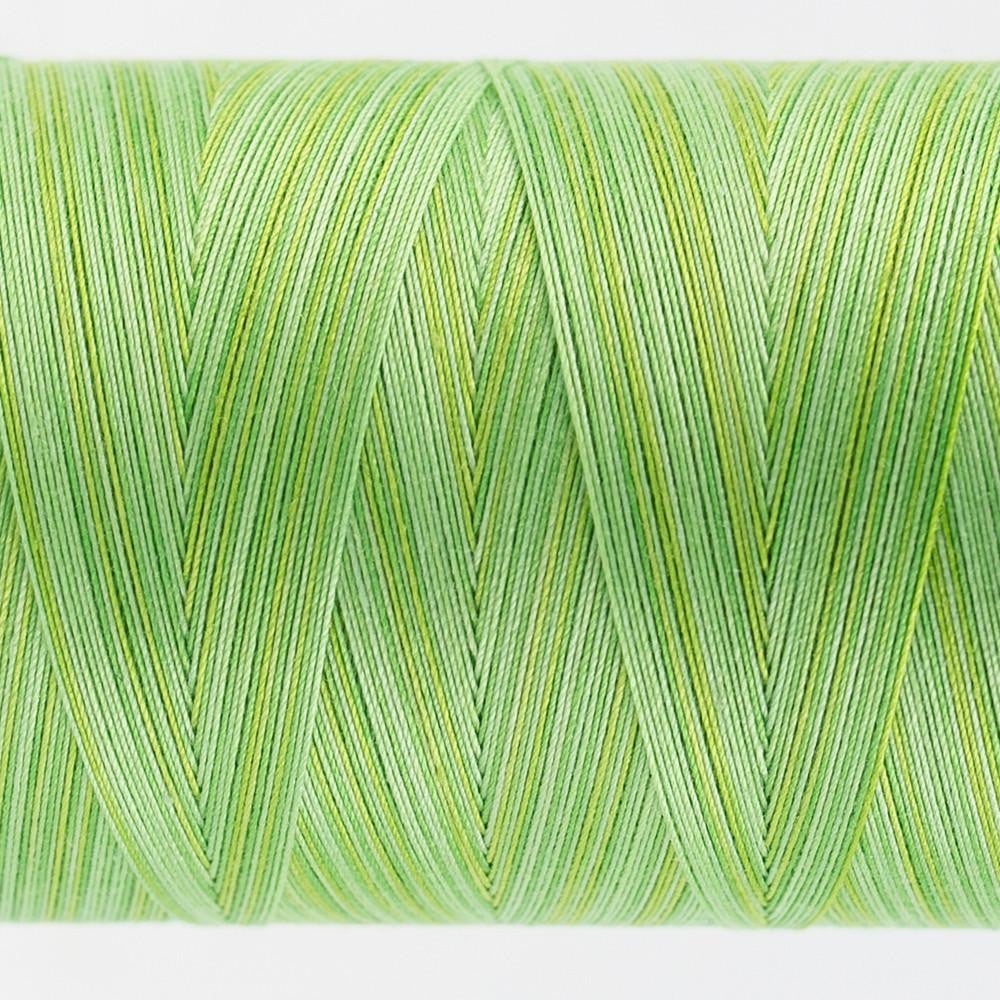 TU29 - Tutti™ 50wt Egyptian Cotton Grass Thread WonderFil