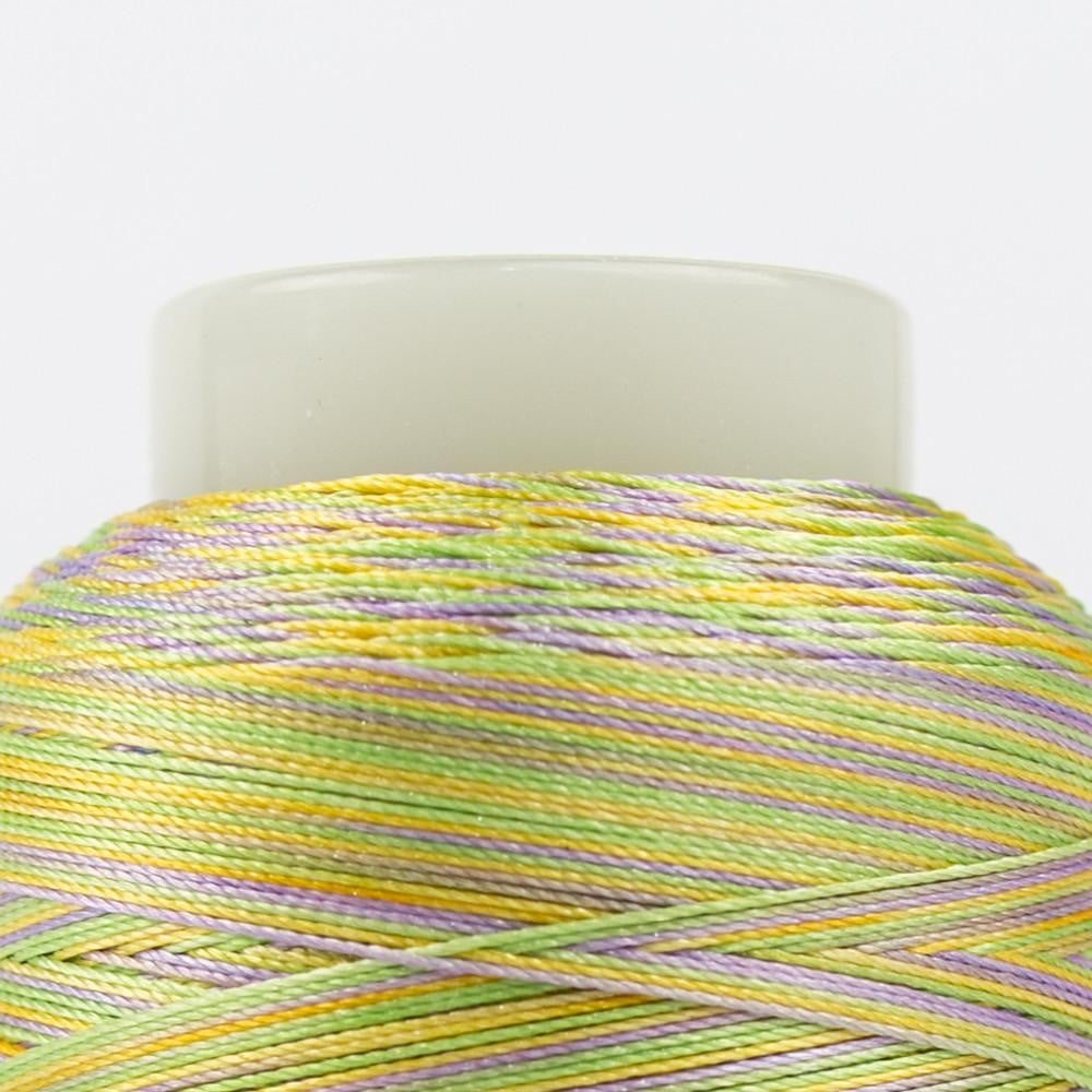 FB24 - FabuLux™ 40wt Trilobal Polyester Springtime Thread WonderFil