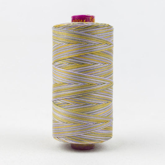 FT14 - Fruitti™ 12wt Egyptian Cotton Spring Thread WonderFil