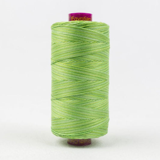 FT29 - Fruitti™ 12wt Egyptian Cotton Grass Thread WonderFil