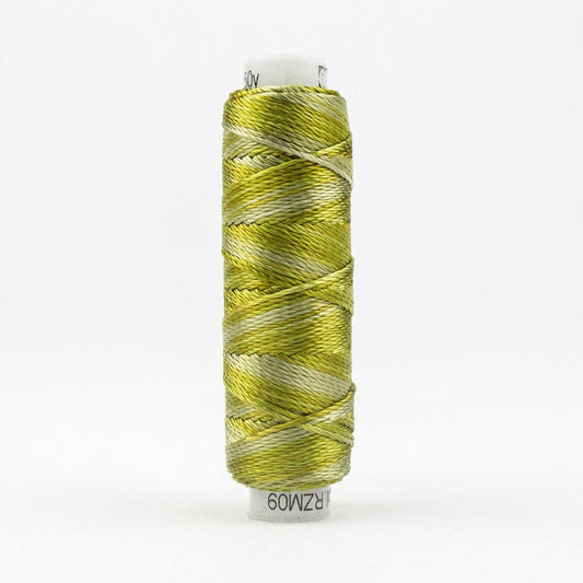 SSRZM09 - Razzle™ 8wt Rayon Marsh Grass Thread WonderFil